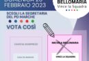 Seggi primarie PD 2023 Provincia di Ascoli Piceno